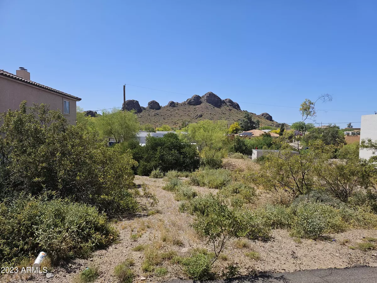 Gold Canyon, AZ 85118,5636 S ESTRELLA Road #87