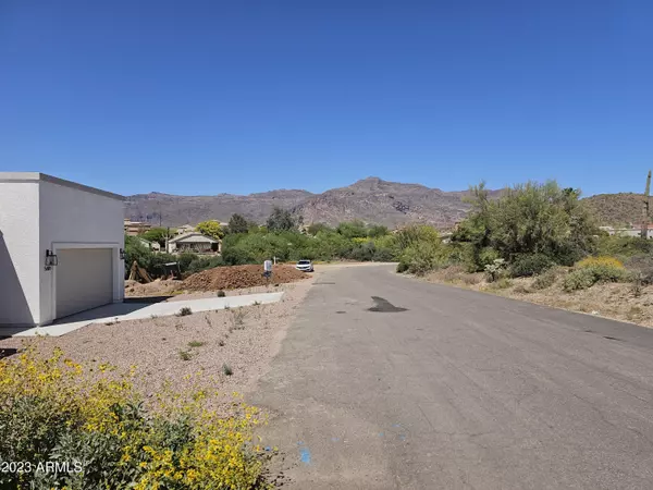 Gold Canyon, AZ 85118,5636 S ESTRELLA Road #87