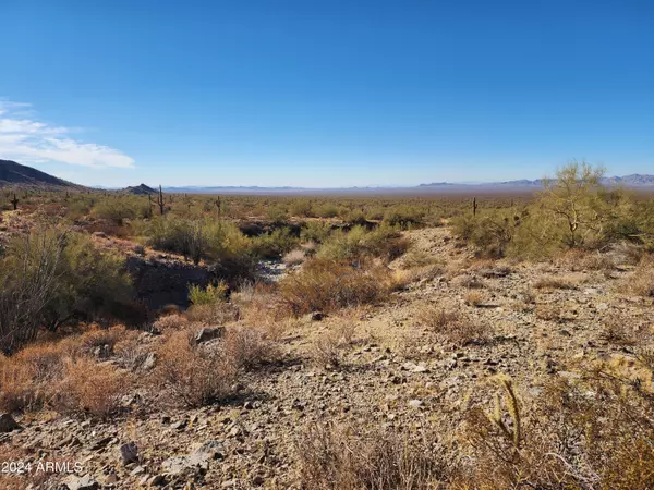 Wenden, AZ 85357,66000 Powerline Road #-