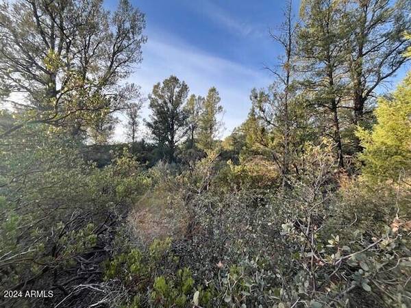 Payson, AZ 85541,1900 E Highlands Way #-