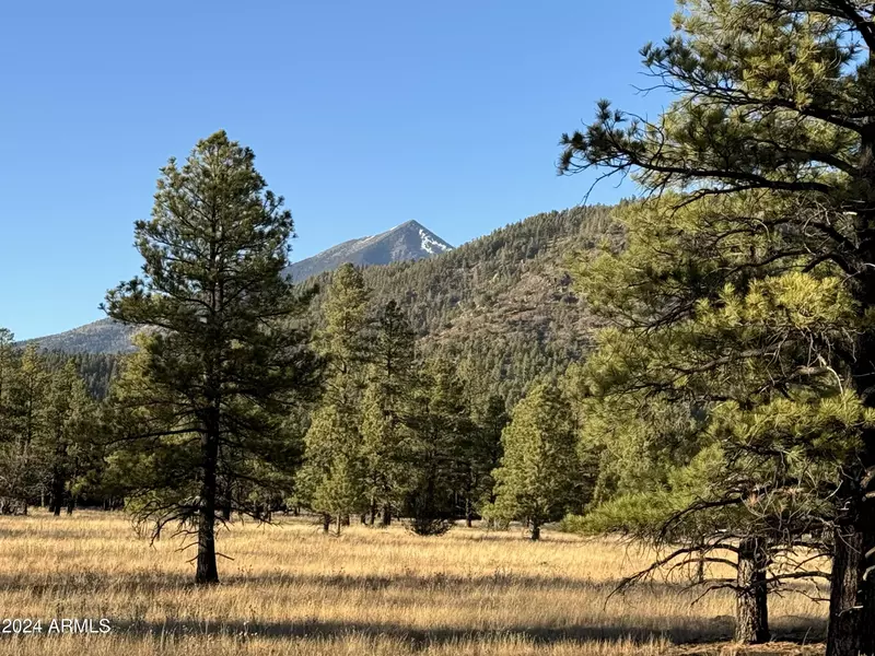 5 E Hattie Greene -- #5, Flagstaff, AZ 86001