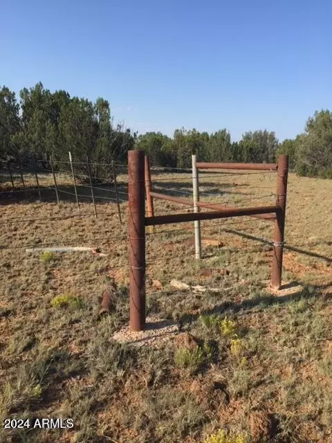 Show Low, AZ 85901,N Shady Oak 404-69-005 B/10 acre -- #-