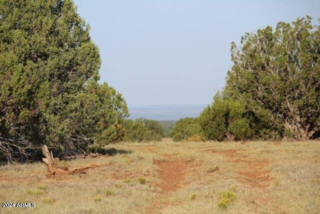 4 N Shady Oak 404-69-005b/10+acres -- #-, Show Low, AZ 85901