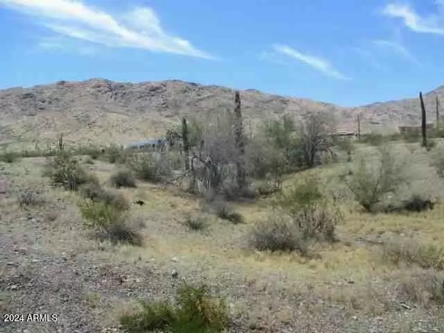 Phoenix, AZ 85041,2500 W Sunrise Drive #-