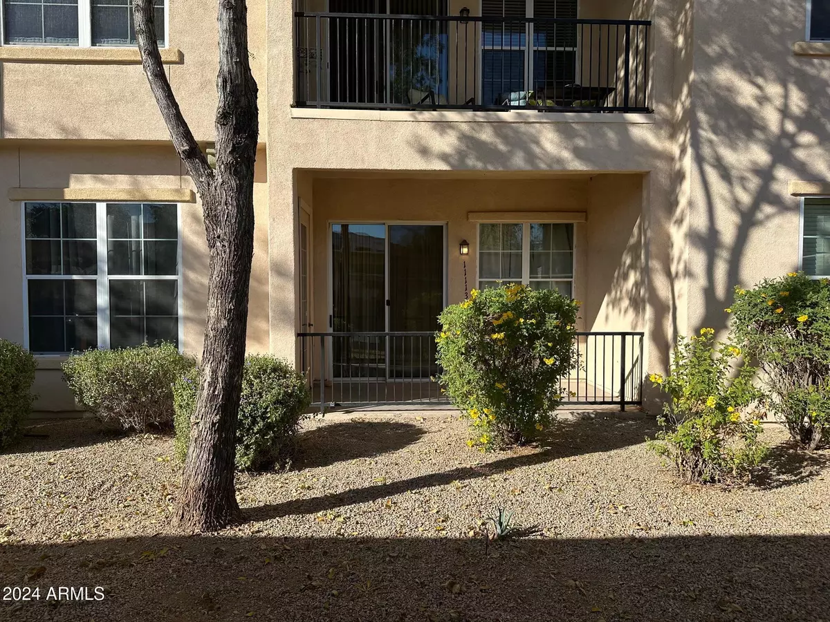 Surprise, AZ 85374,14575 W MOUNTAIN VIEW Boulevard #11113