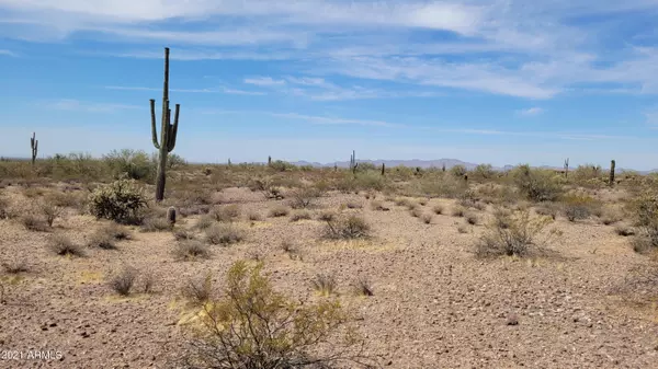 Wittmann, AZ 85361,331 W Restin Road #-