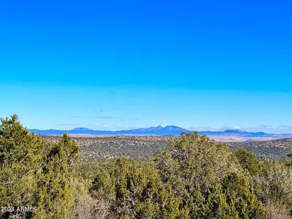 Seligman, AZ 86337,W Rugged Gulch -- #-