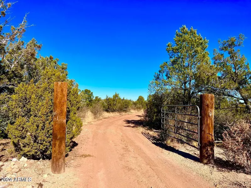 W Rugged Gulch -- #-, Seligman, AZ 86337