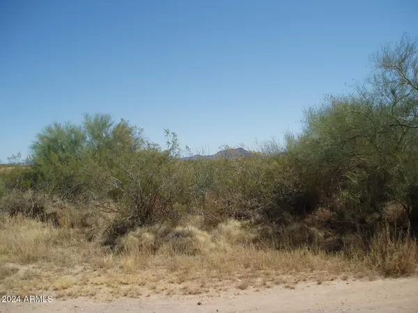 Unincorporated County, AZ 85361,31199 W Wildcat Drive #167