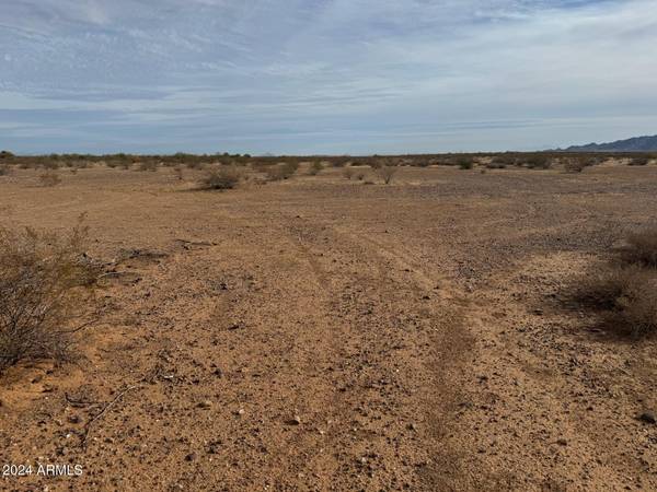 Wittmann, AZ 85361,22700 W JOMAX Road #-