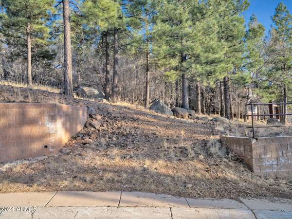 Flagstaff, AZ 86001,1150 N WORTHINGTON Place #3