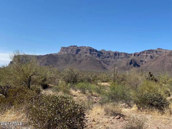 Gold Canyon, AZ 85118,0 E Southern Avenue #-