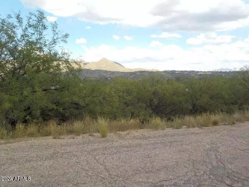 Rio Rico, AZ 85648,1217 CIRCULO YERBA BUENA -- #12