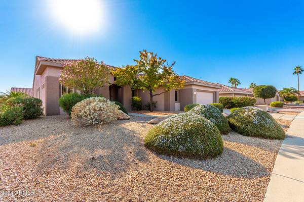 Surprise, AZ 85374,15971 W LA PALOMA Drive