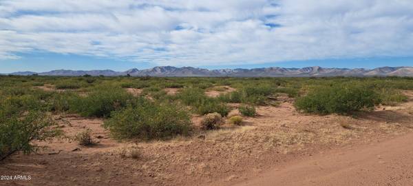 Mcneal, AZ 85617,W Drifters Way #POR