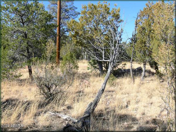 Heber, AZ 85928,3326 BEAR HEIGHTS Road #5