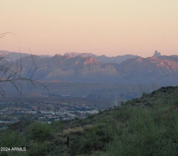 Fountain Hills, AZ 85268,14233 E Grey Owl Trail #176