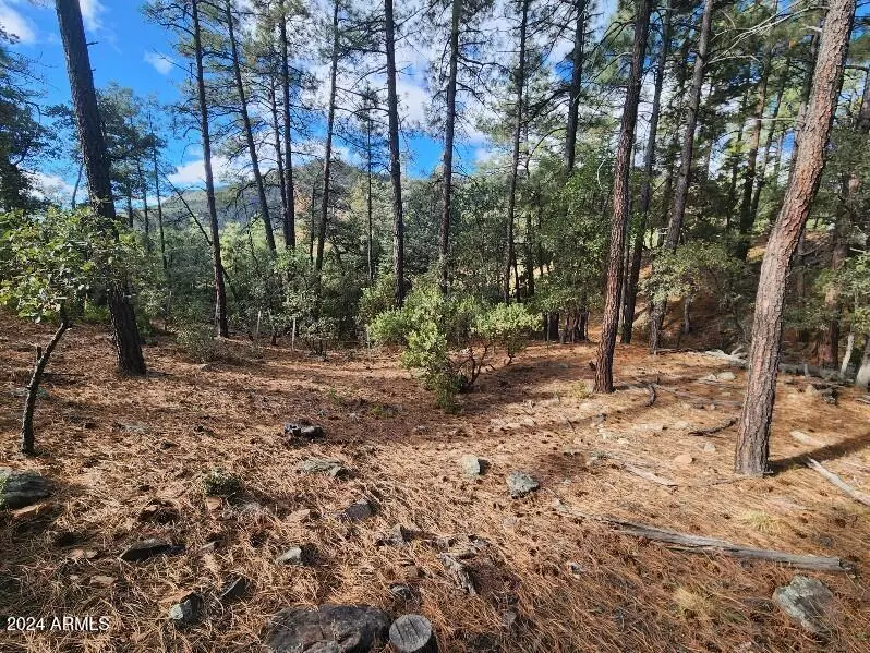 Pine, AZ 85544,0 N Sundown Lane Lane #104