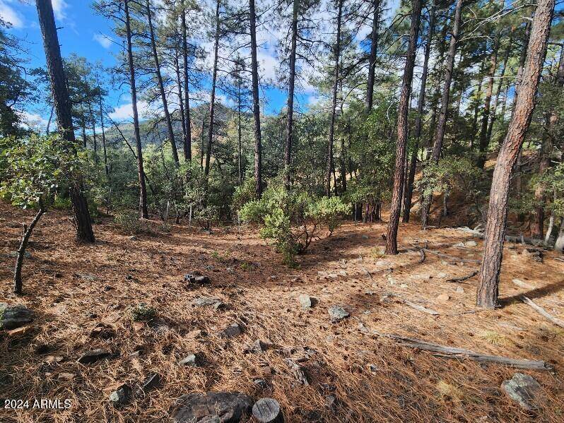 0 N Sundown Lane Lane #104, Pine, AZ 85544