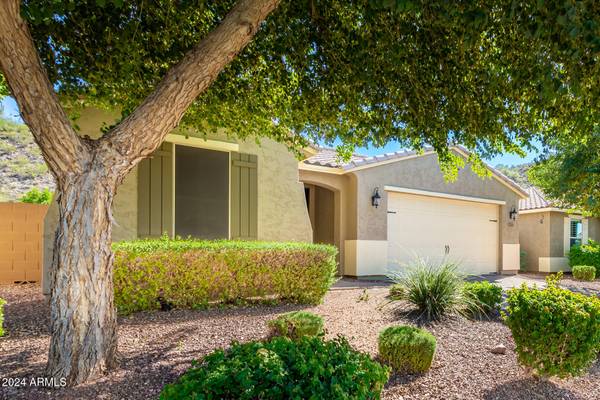 Peoria, AZ 85383,27243 N SKIPPING ROCK Road