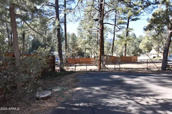 Pine, AZ 85544,3193 N PINEWOOD Drive