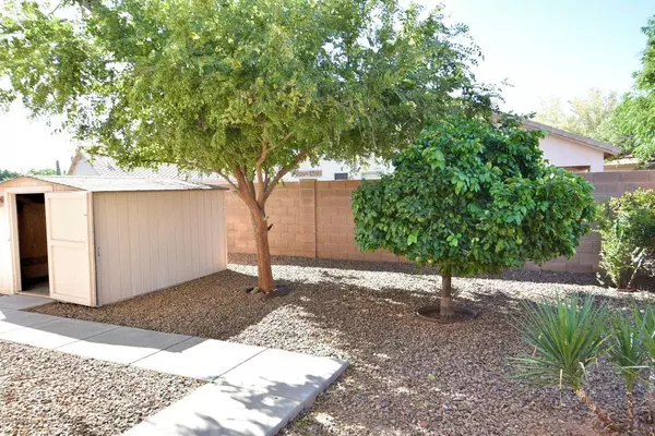 Surprise, AZ 85374,15873 W TARA Lane