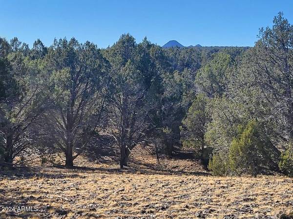 Williams, AZ 86046,565 Sleepy Lady Trail