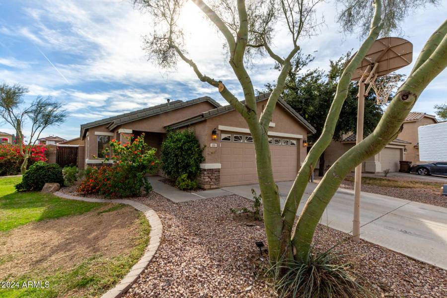 125 W WELSH BLACK Circle, San Tan Valley, AZ 85143