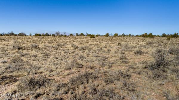 Williams, AZ 86046,4549 MOHAVE Trail #138