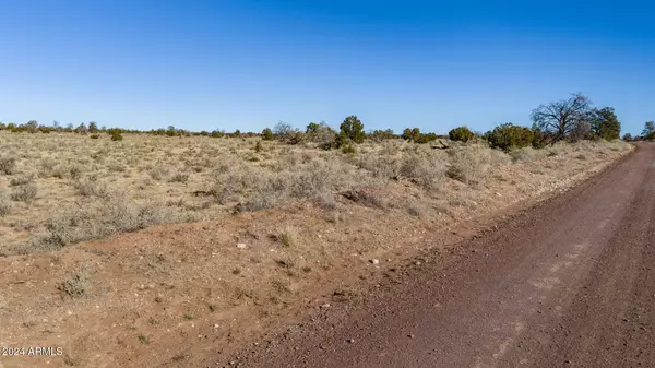 Williams, AZ 86046,4549 MOHAVE Trail #138