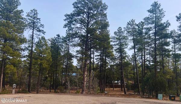 Lakeside, AZ 85929,6331 E Starlight Ridge Road #19