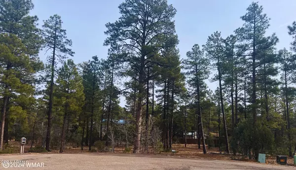 Lakeside, AZ 85929,6331 E Starlight Ridge Road #19