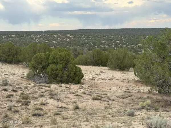 St Johns, AZ 85936,171 E Witch Well Ranches -- #171