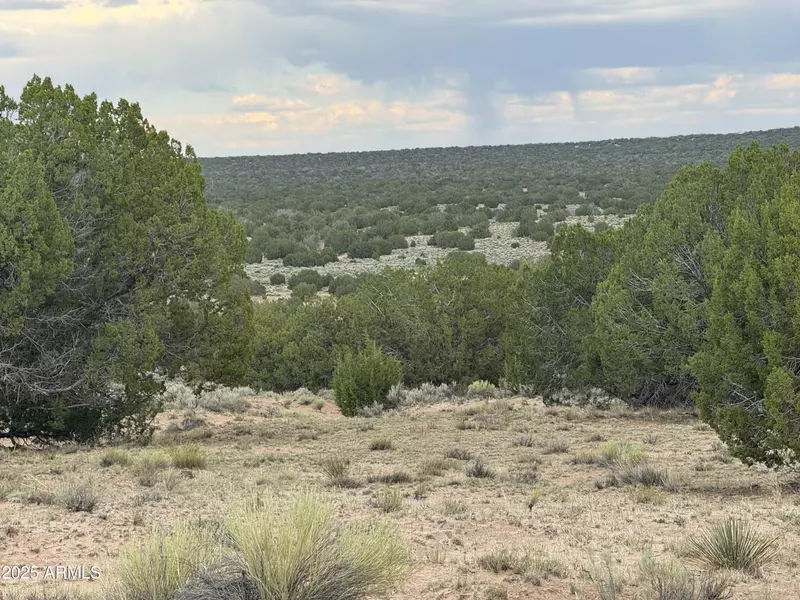 171 E Witch Well Ranches -- #171, St Johns, AZ 85936