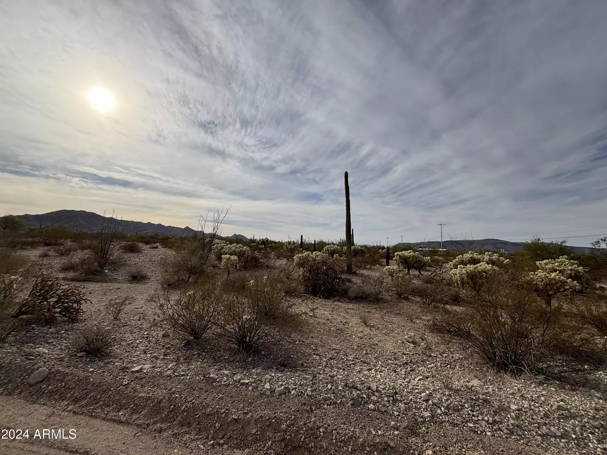 Ajo, AZ 85321,2350 N Ajo Gila Bend Highway #-