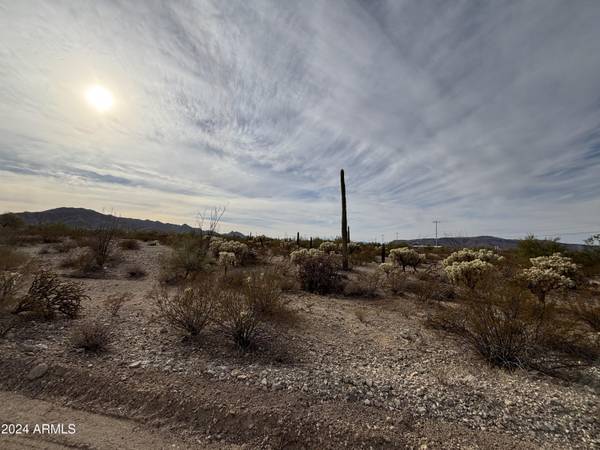 Ajo, AZ 85321,2350 N Ajo Gila Bend Highway #-