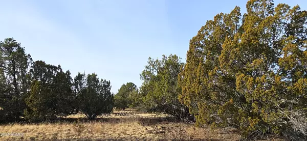 Williams, AZ 86046,247 E ORCHID Drive #LOT 538