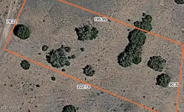 19 COUNTY ROAD 5204 -- #63, Concho, AZ 85924