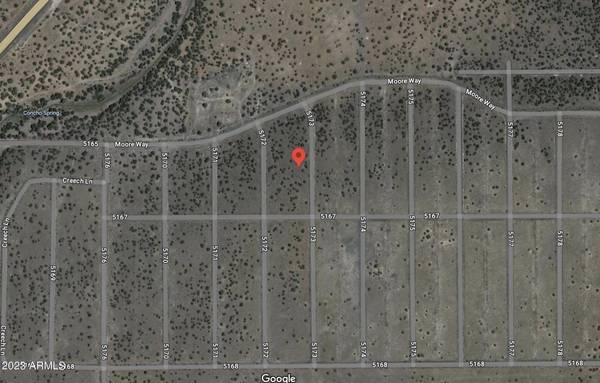 Concho, AZ 85924,0 N Moore Way #162