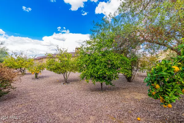 Paradise Valley, AZ 85253,5339 E ROYAL PALM Road