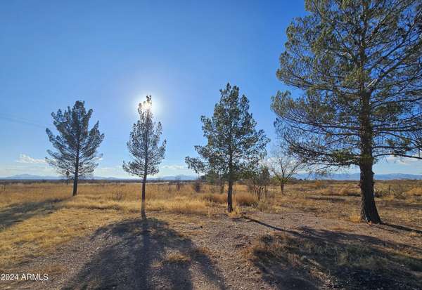 Mcneal, AZ 85617,3786 W DOUBLE ADOBE Road