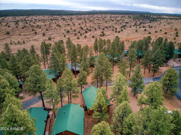 Overgaard, AZ 85933,2722 HIGH PINE Loop