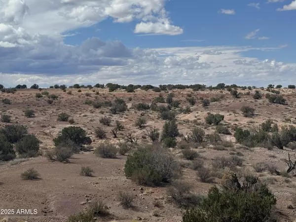 St Johns, AZ 85936,59 River Springs Ranch -- #59