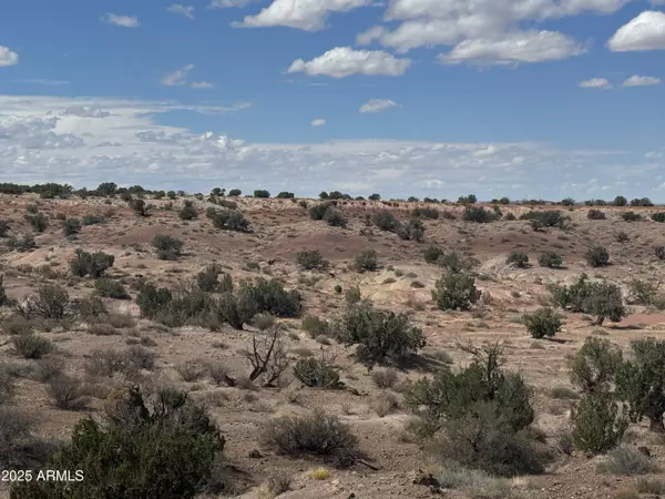 St Johns, AZ 85936,59 River Springs Ranch -- #59