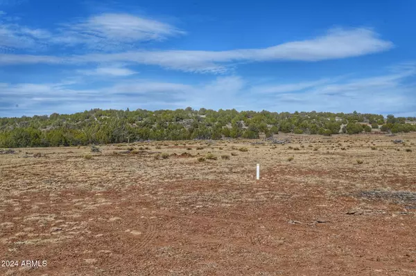 Seligman, AZ 86337,38095 W Badger Flats Road #1293