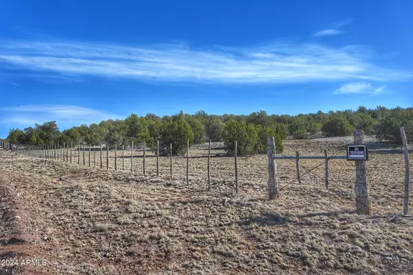 Seligman, AZ 86337,38095 W Badger Flats Road #1293