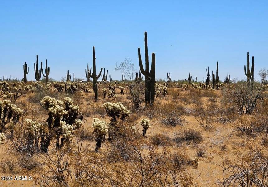 0 W Painted Wagon Trail #98, Wittmann, AZ 85361