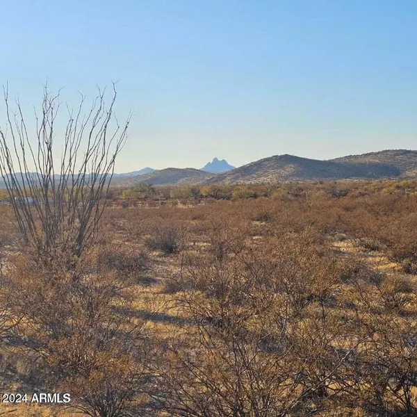 21775 W Date Creek Road #9 & 10, Wickenburg, AZ 85390