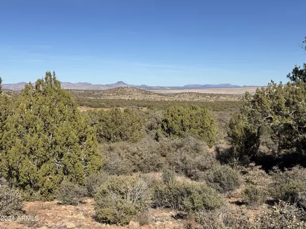 Wikieup, AZ 85360,11875 Bogles Ranch Road #54