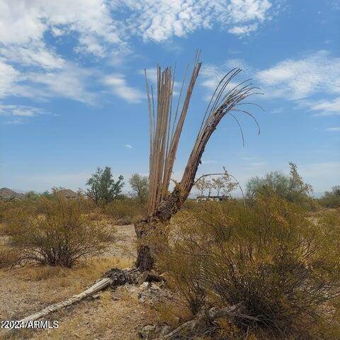 San Tan Valley, AZ 85140,0 E Adobe Dam Road #-